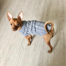 Roupas tricotadas para cães pequenos, camisola chihuahua, roupas quentes de inverno, camisola do gato da esfinge para York - Image 3