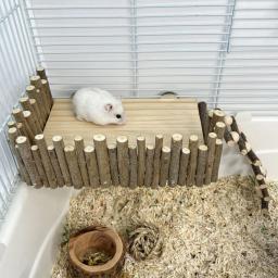 Natural De Madeira Hamster Escalada Brinquedos, Exercício Atividade Gaiola, Plataforma De Mastigação, Hamsters, Chinchilas, Coelhos - Image 3