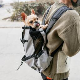 Respirável Pet Carrier Bag, mochila de viagem ao ar livre, portátil, cão grande, gato, buldogue francês, acessórios - Image 2