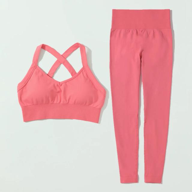 Conjunto Feminino de Treino com Shorts de Ioga - Roupas Esportivas e de Ginástica Confortáveis