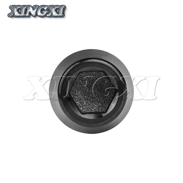 Xingxi Parafusos de Titânio M6x10-65mm Liga 6AL/4V Grau 5 para Bicicleta