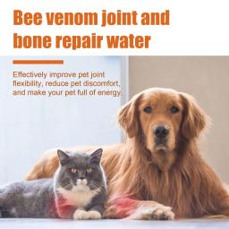 Pet Joint Care Drops, Deformação Óssea, Cura, Alivia o Desconforto, Joint Repair Supplement, Anti Coceira, Solução Cuidar Cão - Image 6