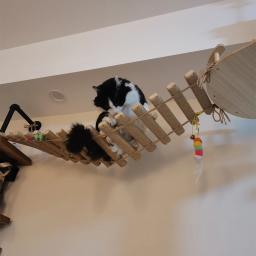 Corda de sisal ou escada de madeira para gato, escalada, jogando ponte, móveis internos e externos, suprimentos para gatos, 50cm, 100cm - Image 2