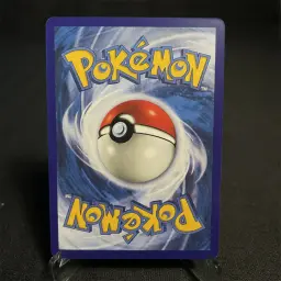 Pokemon Holographic Cards coleção, E-Card série, Mewtwo, Dragonite, Blastoise, Ninetales, Typhlosion, Charizard, Evolução - Image 6