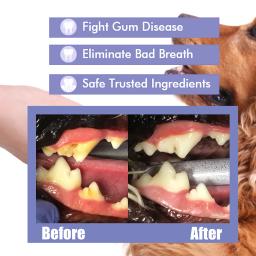 Pet Dentes Limpeza Spray, Calculus mancha removedor, gatinho desodorante, mau hálito tratamento, Oral Care Tool, Dog Cat Desodorante - Image 6