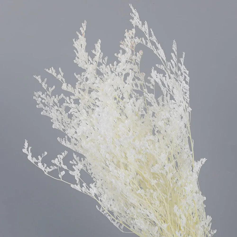 Flor natural de limônio seca real, Buquê floral decorativo, Material do arranjo, Casamento dos namorados flor preservada, Lovegrass - Image 1