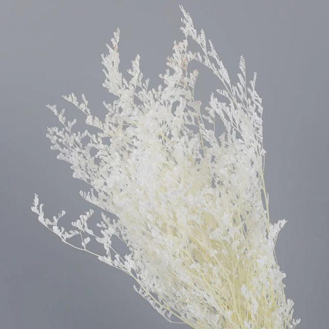 Buquê decorativo de flores naturais secas de limônio para casamentos e namorados com amor-perfeito preservado