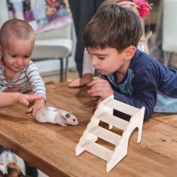 Escada De Escalada De Madeira Para Pequenos Animais De Estimação, Brinquedo De Plataforma, Gaiola De Rato De Madeira, Hamster e Cobaia, Gerbil e Hamster - Image 5
