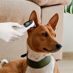Dispositivo preciso de detecção de febre veterinária, Termômetros animais para gatos, Pet Tech Supplies, Veterinário - Image 4