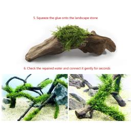 Plantas aquário Plantas paisagismo com cola Suprimentos para tanques peixes com cola instantânea grama F1FB - Image 3