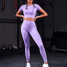 Novo conjunto de esportes das mulheres sem costura roupas de treino ginásio leggings camisa conjunto de roupas de fitness terno - Image 2