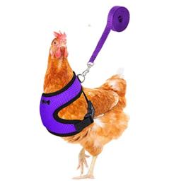 Ajustável Pet Harness Leash, Colete Confortável para Frango, Cachorro, Cães Pequenos, Pato, Ganso, Acessórios de Treinamento - Image 5