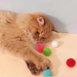 Jogos Interativos de Tiro para Animais de Estimação, Brinquedos de Treinamento para Gatinhos, Mini Brinquedos para Gatinhos, Acessórios Pet - Image 3