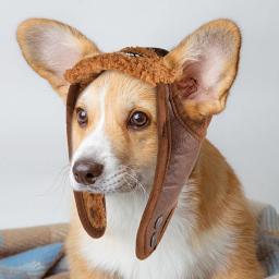 Chapéu aviador de lã quente para cães pequenos e grandes, capacete piloto à prova de vento PU, acessórios para animais, cachorro, inverno - Image 5