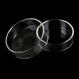Círculo de alimentação de vidro transparente para aquário Alimentador de tanques de peixes Alimentador de fundo flutuante Acessórios de alimentação de camarão - Image 6
