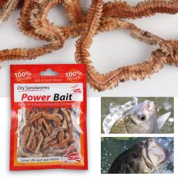 Natural Dry Sandworms Fishing Lure, isca de água salgada, poder de água doce, alimentador de carpa do mar, isca acessórios, todos, 1-10pcs - Image 3