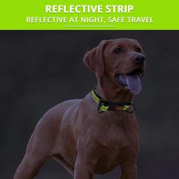 Ajustável Nylon Neck Collar para cães, coleiras tampa, conjunto de tração, correntes reflexivas, Pet fornecimentos, grande, médio, pequeno - Image 2