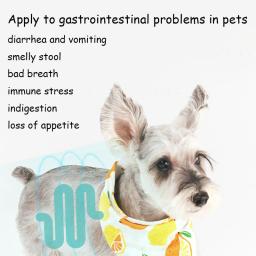 10 bags/box probióticos de saúde gastrointestinal para gatos, cães pet suplementos nutricionais diarréia, vômito, melhorar o apetite - Image 4