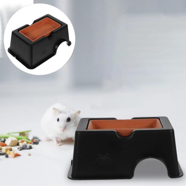 Refúgio Ideal para Répteis: Acessórios e Brinquedos para Cobras e Lagartixas