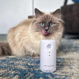 Eliminador inteligente de odor de animais de estimação, desodorizador para cães e gatos, banheiro interno, recarregável, purificador de ar, acessórios para gatos - Image 6