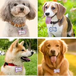 Etiquetas de identificação personalizadas gravadas para animais de estimação, coleira, aço inoxidável personalizado, cachorro e gato, qualquer nome - Image 2