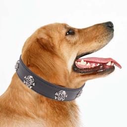 1pc colar preto crânio halloween ajustável coleira para animais de estimação suprimentos para cão filhote de cachorro halloween coleira para animais de estimação - Image 4