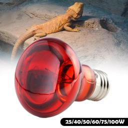 Lâmpada de aquecimento de isolamento infravermelho para répteis, aves, plantas, anfíbios, ferramentas para animais, novo, E27, 100 W, 75 W, 60W, 1 pc - Image 2