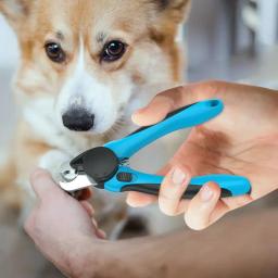 Cortadores de unhas profissionais com luz LED para animais de estimação, tesoura para cães e gatos, pequenos animais, suprimentos para animais - Image 5
