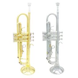 Bb Trumpet Brass Instrument, Trompete Padrão Conjunto com Caixa para Iniciantes, Instrumentos Musicais de Qualidade Profissional - Image 2