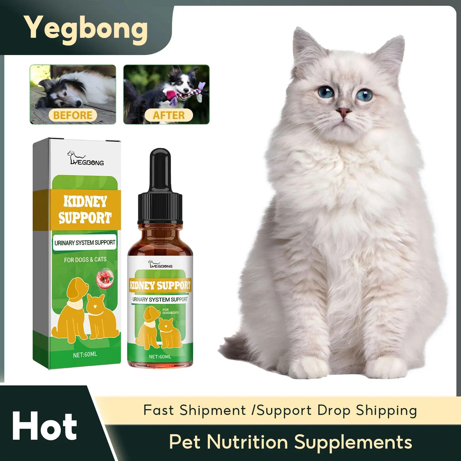 Pet Nutrition Supplements for Cats and Dogs, Tratamento de vômitos diarréia, Melhorar o apetite, Proteger o estômago, Alívio da ansiedade, Dog Health Drops - Image 1