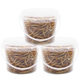 Mealworms High-Protein para Pássaros Selvagens, Frango, Patos, Peixe, Réptil, Tartaruga, Anfíbio, Lagarto, 250g - Image 3