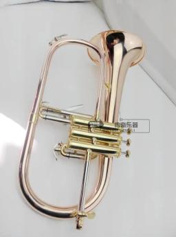 Trompete Profissional com Fósforo Cobre, Flugelhorn B Flat, Instrumentos Musicais, Trompete De Latão, Frete Grátis, Nova Chegada - Image 2
