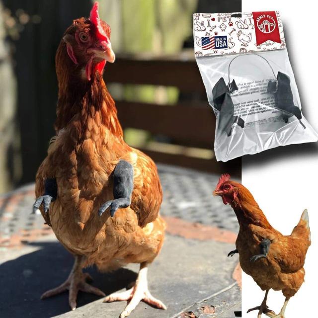 Engraçado Adereço de Festa: Braços Musculares de Brinquedo para Frango e Pombo, Tema de Animais de Estimação