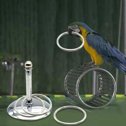 Pássaro Papagaios Brinquedos De Treinamento interativo, Desenvolvimento De Inteligência, Empilhamento Anel De Metal, Conjuntos De Treinamento, Aves Suprimentos, Pet Acessórios calopsita - Image 2