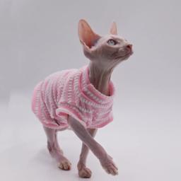Roupas Sphynx confortáveis e respiráveis para gatos, adequadas para gatos sem pêlos, Devon Rex,Cornish, Kennel, Primavera e Verão - Image 3