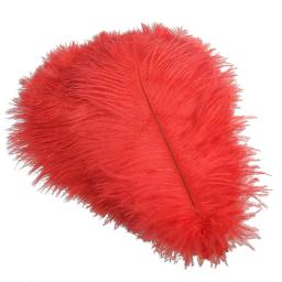 Decoração de Penas de Avestruz Vermelho, Penas Grandes para Artesanato, Top de Carnaval, Feriado, Acessórios para Casamento, Decoração, 15-70cm, - Image 5