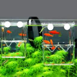 Caixa De Isolamento De Reprodução De Peixes De Aquário De Peixes De Aquário De Alta Clara Criador, incubadora De Chocagem Dupla De Tanque De Peixes - Image 3