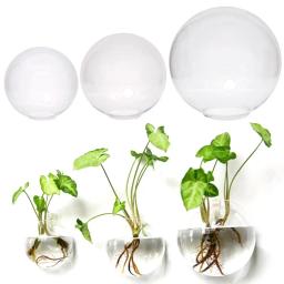 Vidro transparente Wall Mounted Vaso, semi Circular Fish Tank, Micro Paisagem, Garrafa Ecológica, Arranjo Flor Garrafa, 1 Pc - Image 1