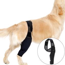 Joelheira Do Cão Para Suporte Com Lesão Do Ligamento Cruzado, Dor Articular E Dor Muscular, Melhor Recuperação Com Cinta De Joelho ACL Do Cão - Image 2