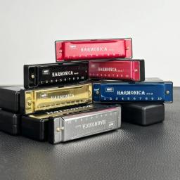 Miwayer-gaita profissional de 10 buracos, órgão metálico para boca, instrumentos musicais para iniciantes - Image 1