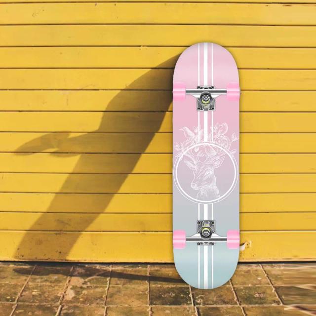 Skate Longboard Completo Silencioso para Iniciantes e Mulheres