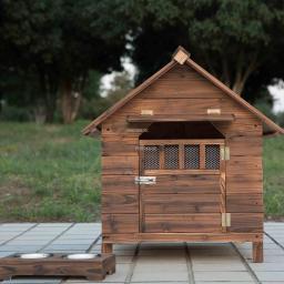 Casa moderna de madeira média e grande, kenpara cães, simples, ao ar livre, à prova de chuva, interior de inverno, quente, suprimentos para animais de estimação - Image 2