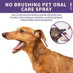 Dog and Cat Tooth Cleaner Spray, Desodorante de Refrescamento da Respiração, Pet Boca Spray, Mantenha a respiração fresca, 50ml - Image 4