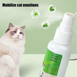 Cat Catnip Spray para gatinhos e gatos, ingredientes saudáveis, fácil de usar, suprimentos seguros para animais, atraente, 50ml - Image 6