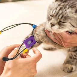 5 unidades torniquete para animais estimação, primeiros socorros liberação rápida para cães, caninos e gatos - Image 4