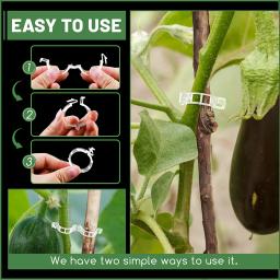 Clipes De Suporte De Plantas, Clipes De Tomate, Clipes De Jardim Reutilizáveis, Suporte Videiras De Uva, Frutas e Plantas Vegetais, 100 Unidades, 200 Unidades - Image 3