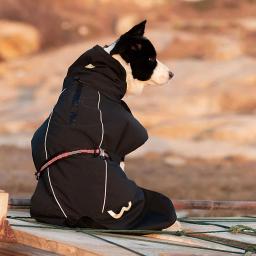 Truelove roupas para animais de estimação impermeável blusão destacável jaqueta roupas para cães padrões de moda macio casaco de chuva para animais de estimação yg1872 - Image 6