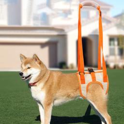 Ajustável cão levantar arnês para pernas traseiras, Pet suporte Sling, ajuda pernas fracas, Stand Up Dogs Aid, ferramenta de assistência, Novo, 2022 - Image 1