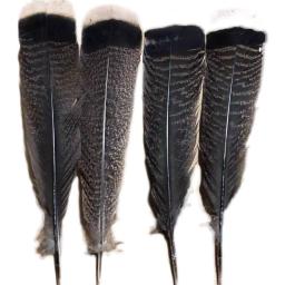 Penas naturais de peru para artesanato, performance de palco, decoração de fantasias, jóias DIY, acessórios vaso, 25-30cm, 10pcs - Image 2