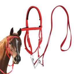Guia de cavalo ajustável lanffle noseband náilon equino noseband rédeas para mulheres homens macio forrado trilha equitação suprimentos equestres - Image 1